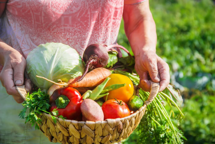 Pessoa no campo com uma cesta com legumes da primavera.