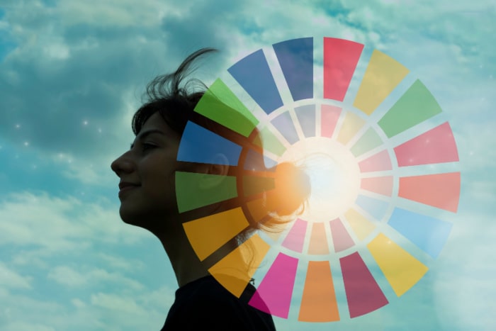 Símbolo dos Objetivos de Desenvolvimento Sustentável com silhueta de uma mulher ao fundo e céu azul